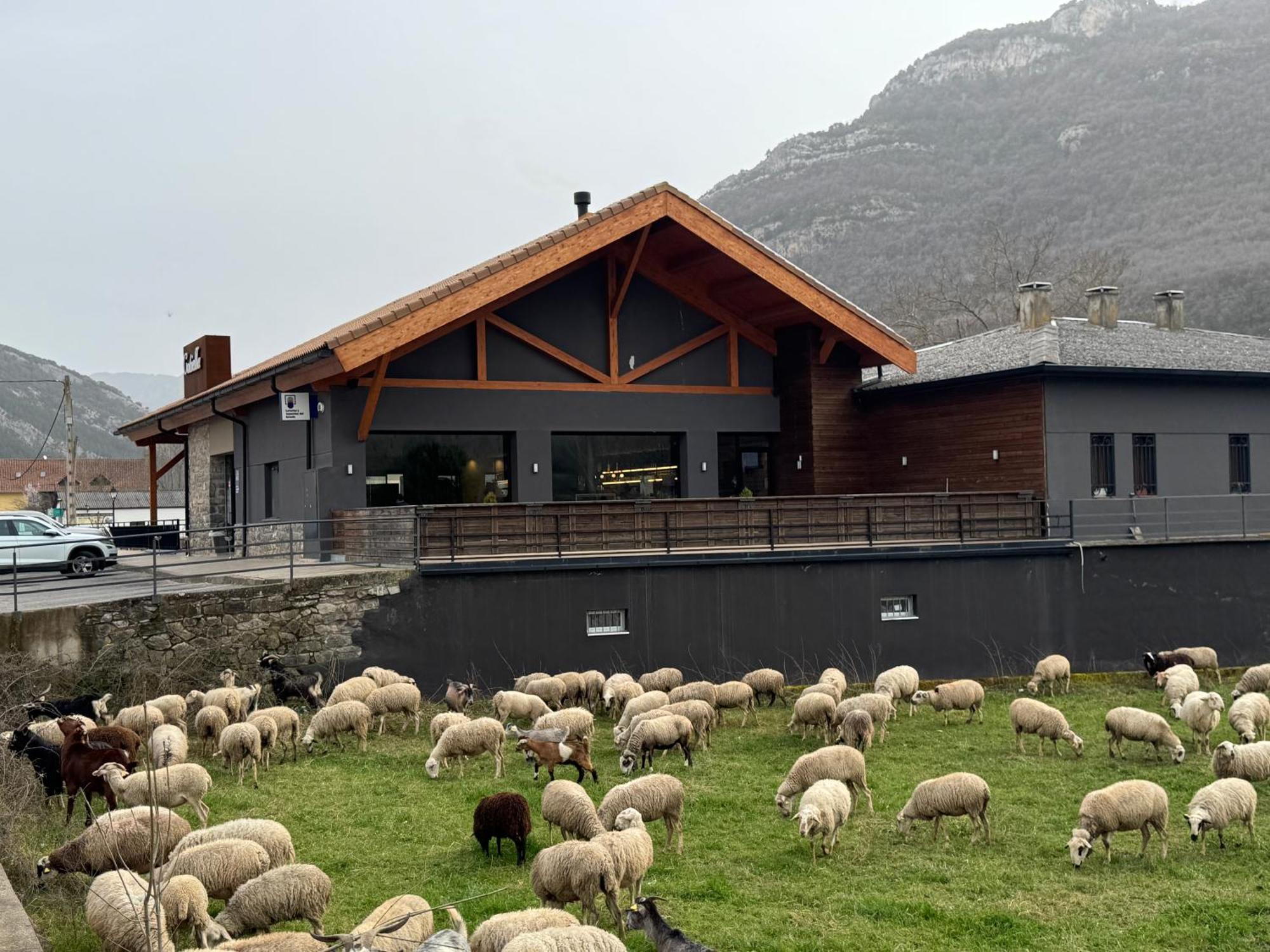 Hotel Cotiella Campo  Dış mekan fotoğraf